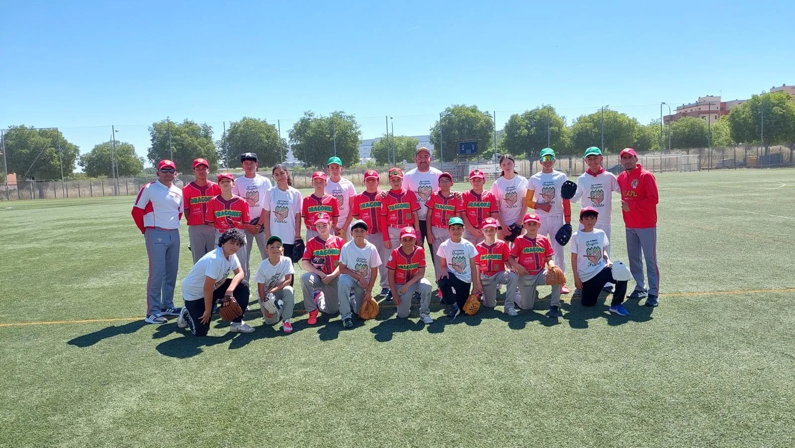 Partido de béisbol